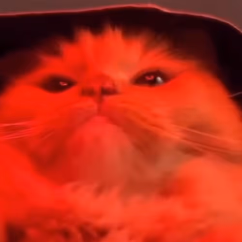 gm