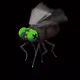 XSpores
