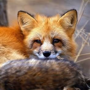 0x6175b67c558c2f5d3680f63453146a7d82ea2206