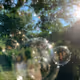bubbles