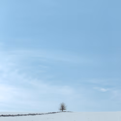 Parallel layer