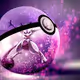 My Pokomon