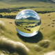 Grassland