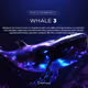 whale