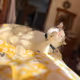 Mecats