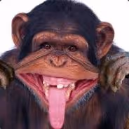 MONKAA