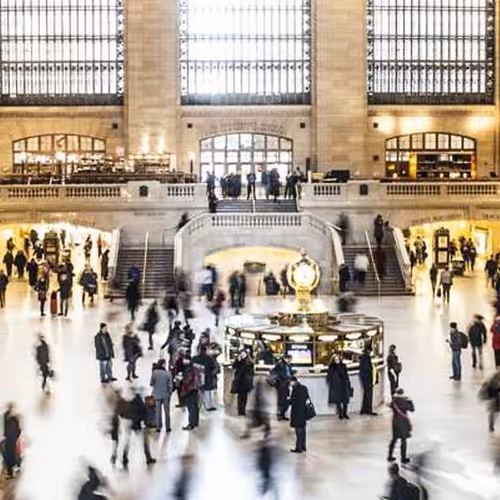 Dozens Conversation Lace