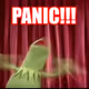 PANIC!!!