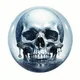 SKULL ZORB