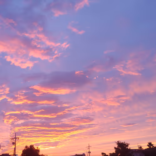 Pink sea