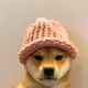 doge