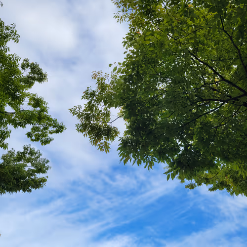 sky