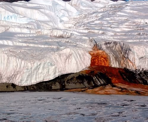 the bloody glacier
