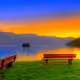Nice World