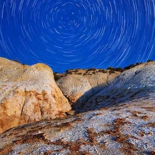 Wires Supplements Majority