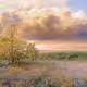 Field