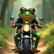 A frog on a motorcycle