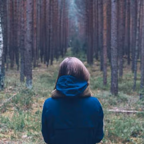 Alexander Grades Stocks