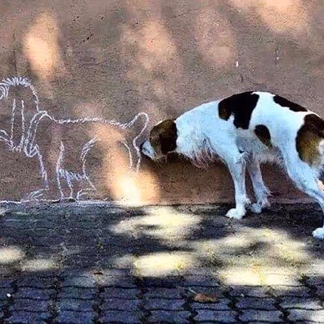 0xa01fe400685437a69735c9821cc3b513a981b620