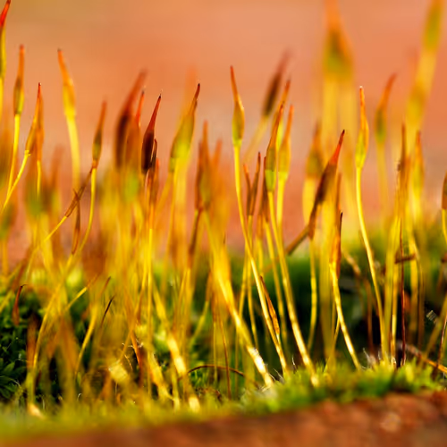 0xabbdbcf352ce1567395a136f3c151325e6e9fe19