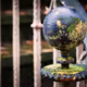 earth