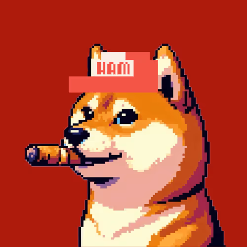 Ham Hat Shiba Inu Collection