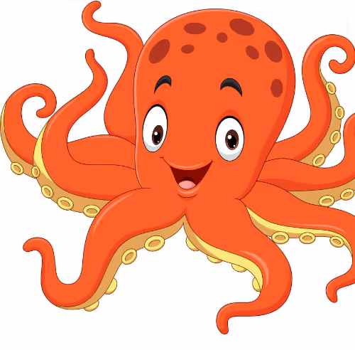 Octopus