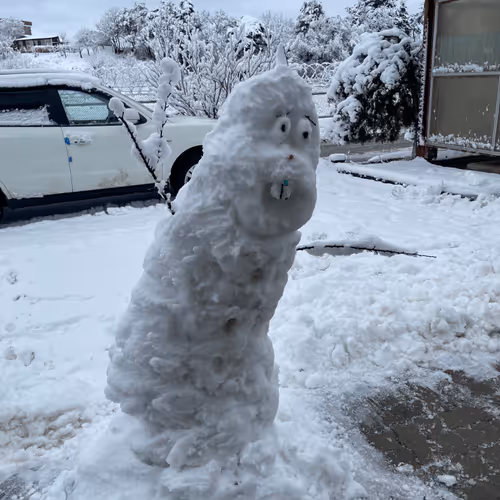 Snow man2