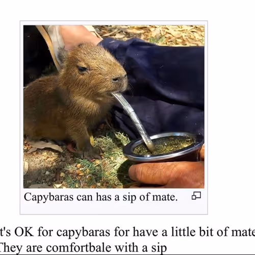 Silly Goose Mint Co.