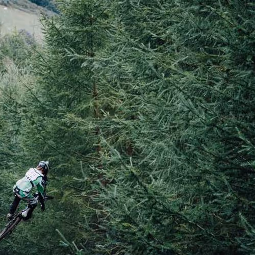 Approaches Earned Template