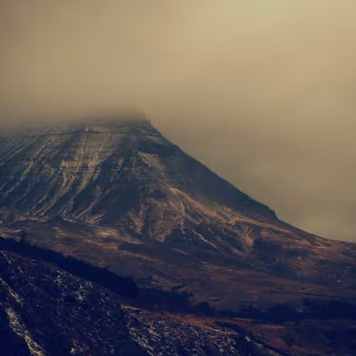 Wiki Continually Exchange