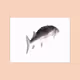 beatbox fish