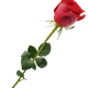 2̶̣̙̲͓̺̯͈̀̃͜2̶̧̛̣̲̮͂̐̑̀̄