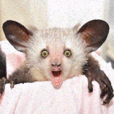 Aye Aye