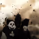 pandas