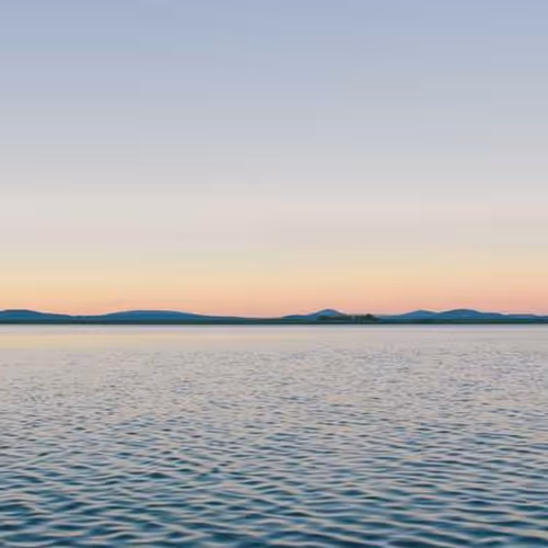 Appliances Aggressive