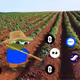 Zora Airdrop