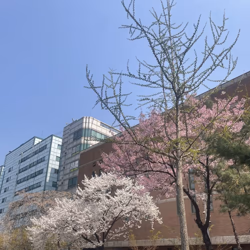 4SeansonsInSEOUL