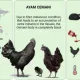 Cemani