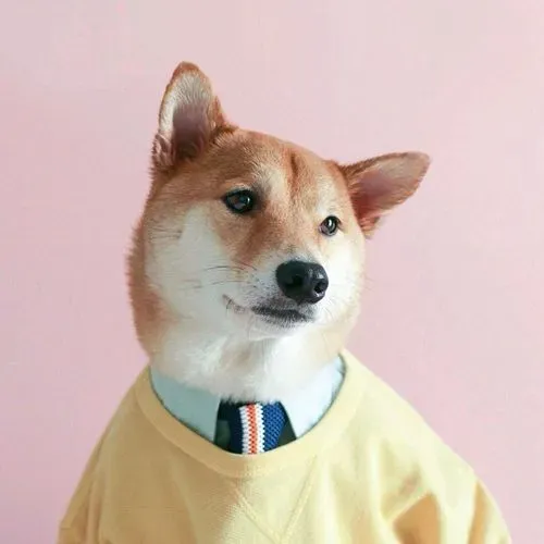 doge