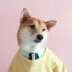 doge