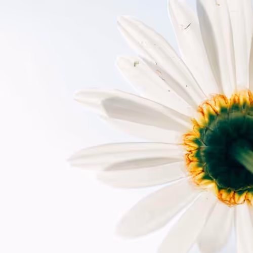 Margaret Levels Assists