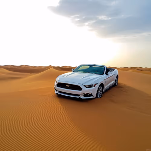 Desert Stallion: Mustang Mirage