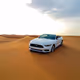 Desert Stallion: Mustang Mirage