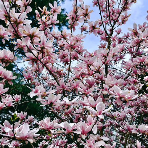 it is what it is (and it is beautiful)