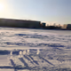 Ice creatures