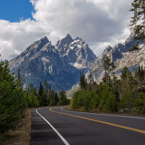 BrushstrokeBlissfulBrush