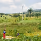 FARMING