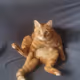 gm