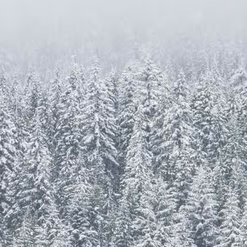 Receiving Those Annex